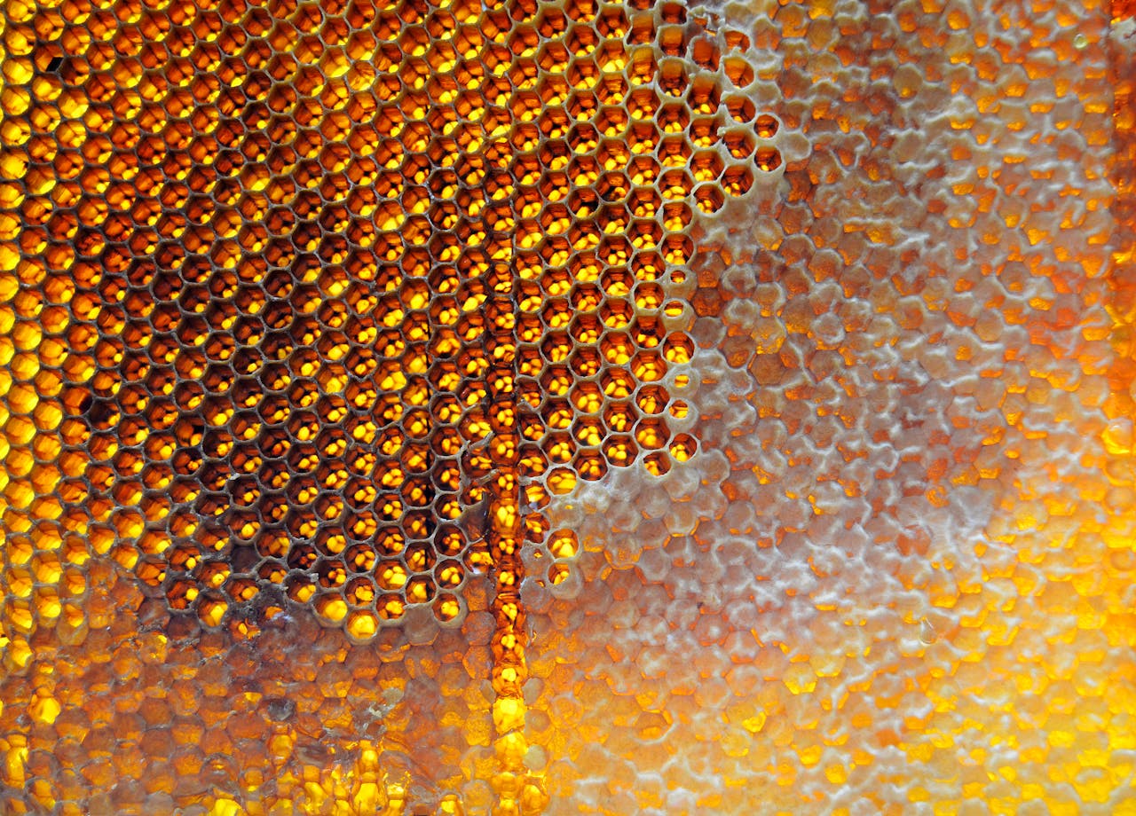 Detailed view of a honeycomb filled with golden honey, showcasing its intricate hexagonal pattern.